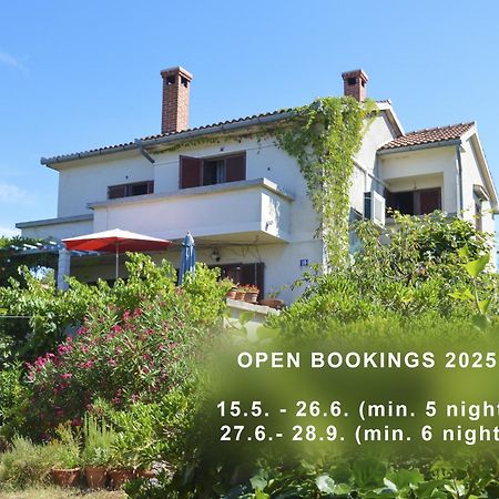 Apartment Zoja Pinezici  Ngoại thất bức ảnh