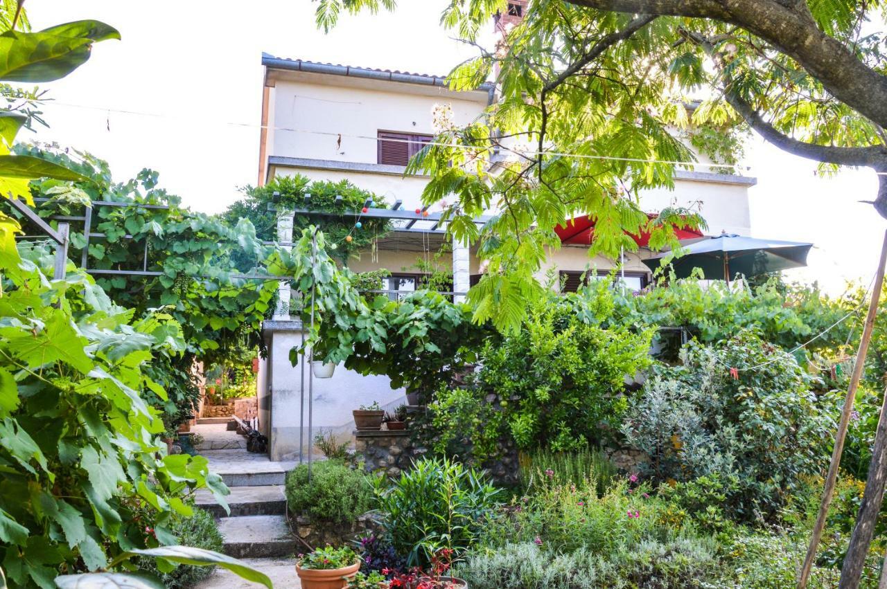 Apartment Zoja Pinezici  Ngoại thất bức ảnh